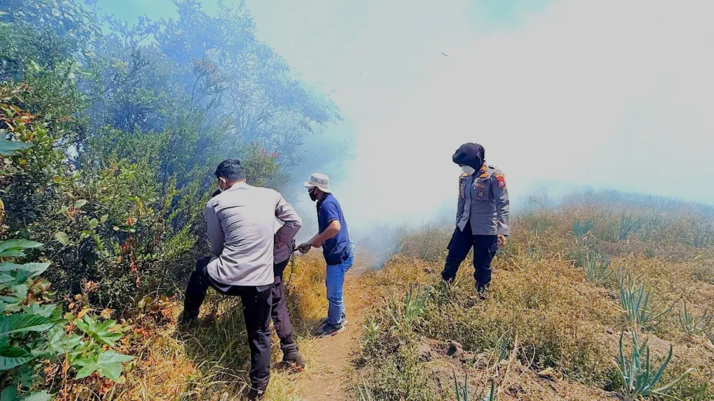 Karhutla Bromo, Api Mengarah ke Ngadisari, Polres Probolinggo Gerak Cepat Padamkan Api di Blok Seruni