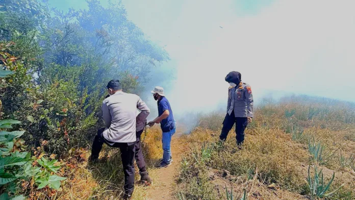 Karhutla Bromo, Api Mengarah ke Ngadisari, Polres Probolinggo Gerak Cepat Padamkan Api di Blok Seruni