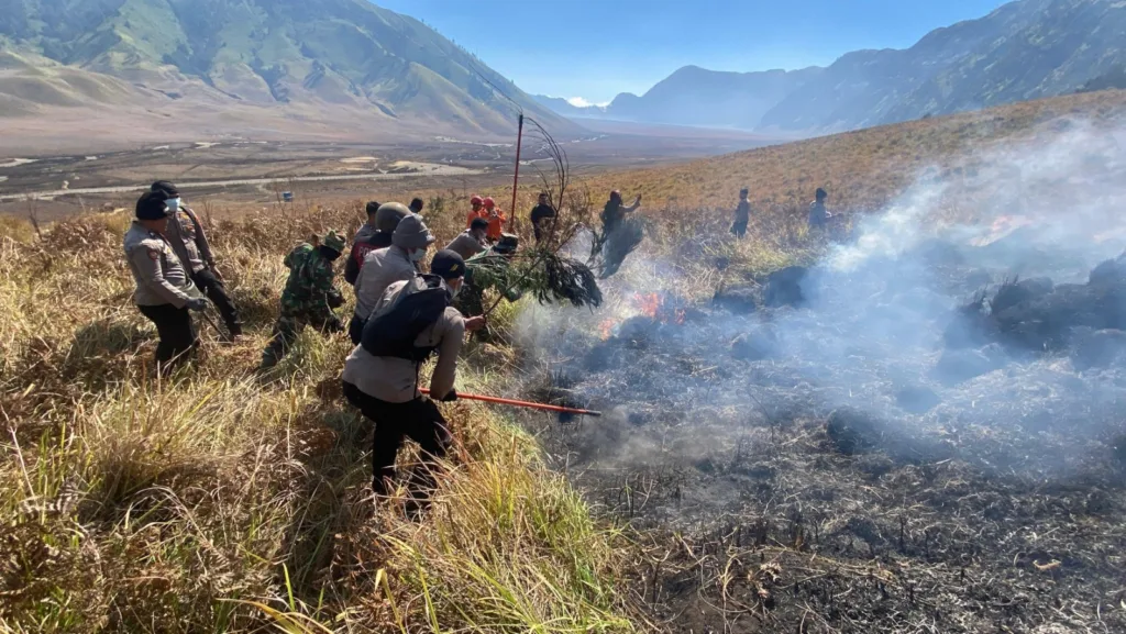 Angin kencang yang bertiup di kawasan pegunungan ditambah kondisi vegetasi kering berupa rumput dan semak belukar akibat musim kemarau menjadi tantangan utama dalam proses pemadaman