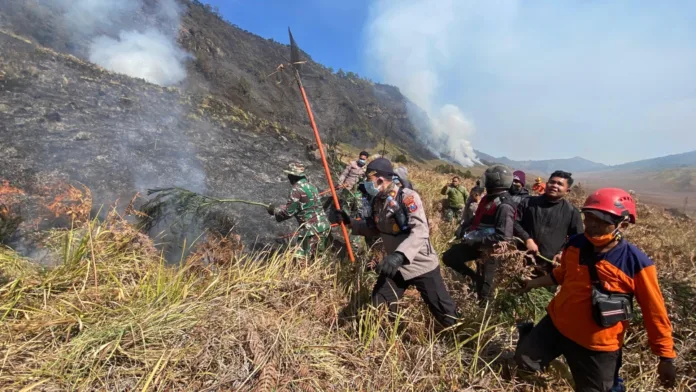 150 Personel Gabungan Diterjunkan Padamkan Kebakaran Hutan di Kawasan Bromo. Foto: Dokumentasi Polres Probolinggo