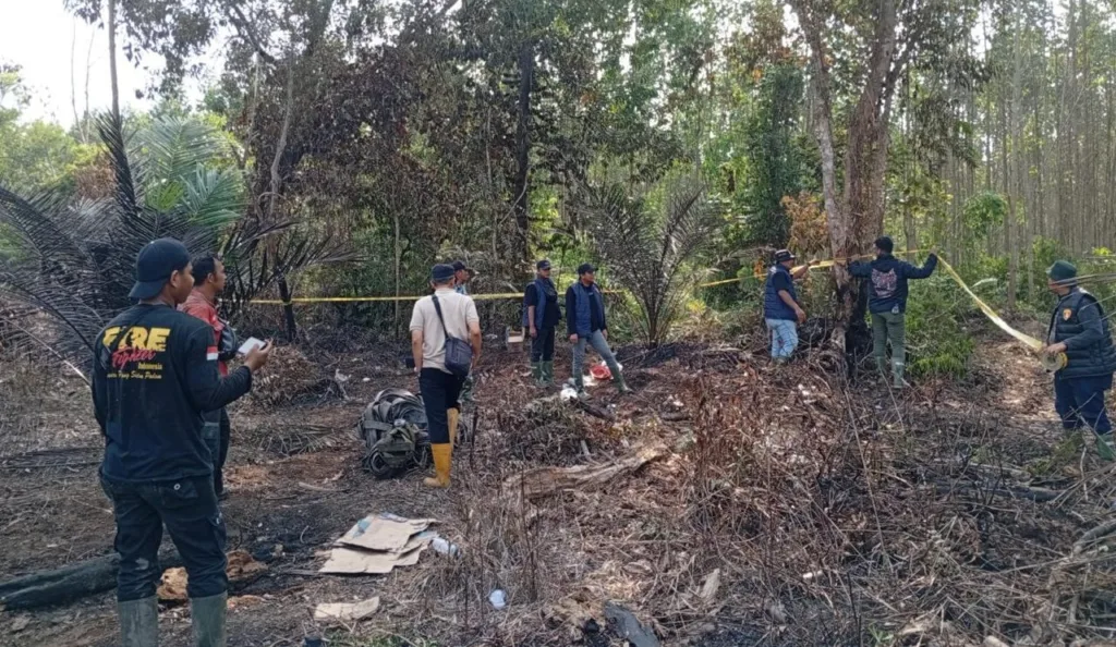 Hasil penyidikan kemudian mengarah pada dugaan bahwa Y membuat tiga titik pembakaran untuk membersihkan lahan sebelum ditanami kelapa sawit.