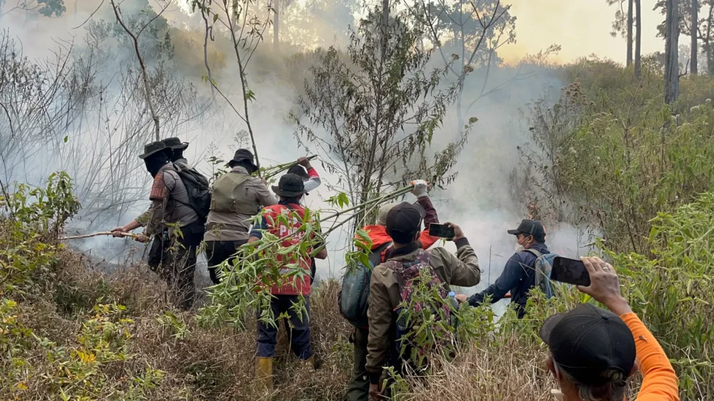 Kondisi hutan kering menyebabkan titik api terbaru di Petak 100 Gunung Buthak. Luas vegetasi yang terdampak kebakaran telah mencapai sekitar 15 hektare.
