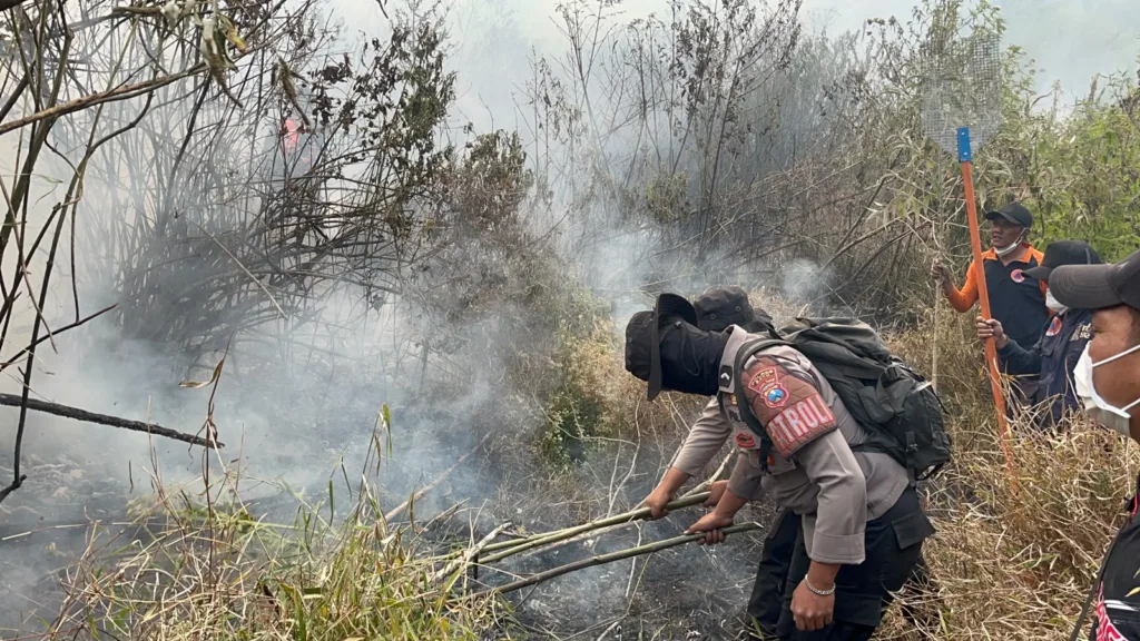 Jalur Pendakian Panderman Ditutup, Personel Gabungan Tangani Karhutla Gunung Buthak