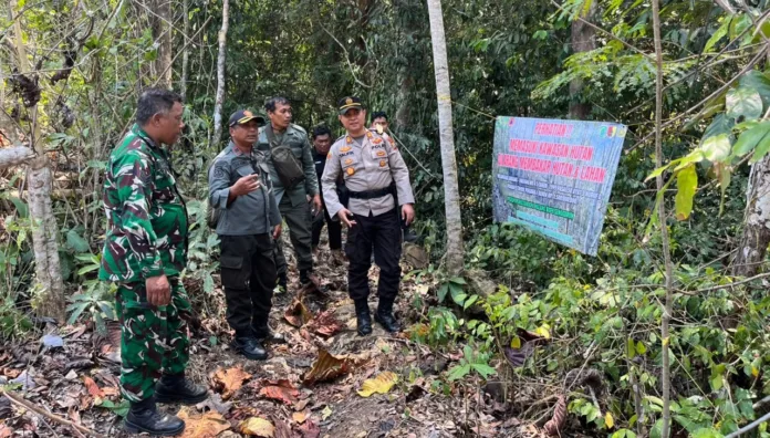 Cegah Kebakaran Akibat Human Eror, Tim Gabungan Forpimcam Bantur Gencarkan Deteksi Dini Karhutla, Sisir Area BKPH Sengguruh